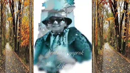 Sonbahar Yaprak Döküyor seslendiren video Aynur AVCI