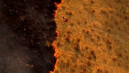 Waldbrände in Argentinien: "So etwas noch nie gesehen"