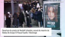 Procès de Nordahl Lelandais : une vidéo glaçante diffusée, le meurtre de Maëlys reconstitué