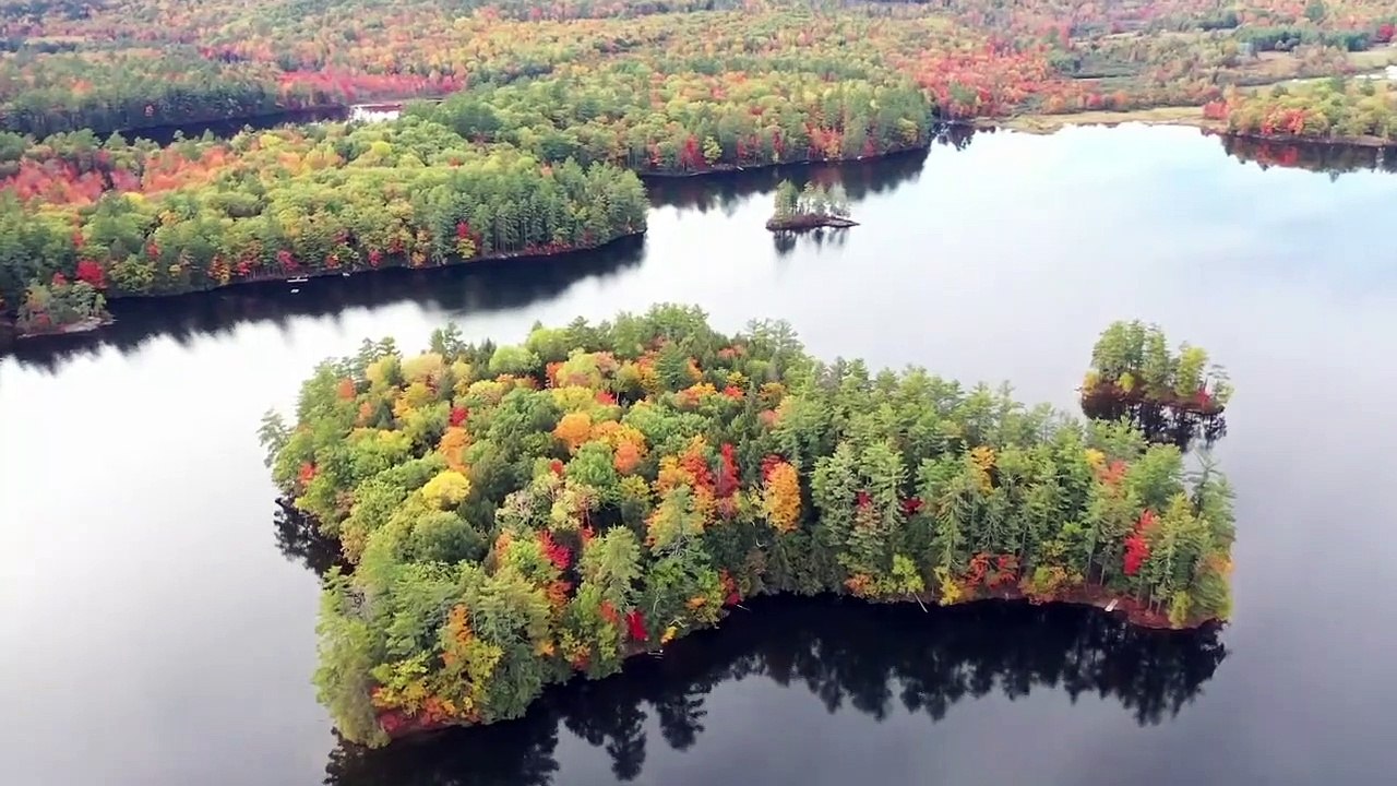 Relaxing Asian Music “Dreams of Japan” for Studying, Spa, Coffee, Work, Sleeping_ Positive Anergy