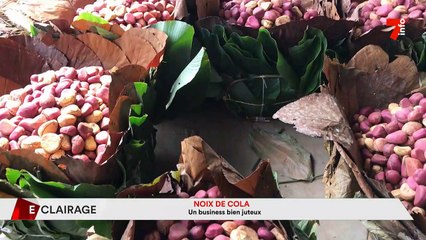 Eclairage | Noix de cola : un business bien juteux