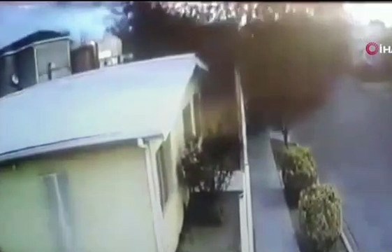 Une volée d'oiseaux s'écrase sur le sol au Mexique