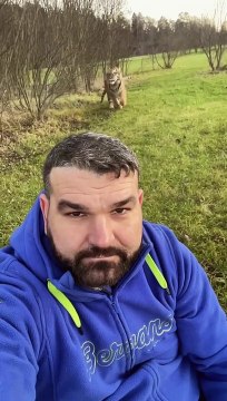 Un homme attend son tigre qui lui saute dessus