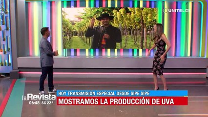 Ronald nos mostró la variedad de uva y producción que tiene para ofrecer Sipe Sipe