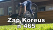 Zap Koreus n°465