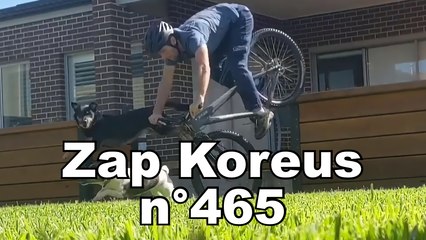 Zap Koreus n°465