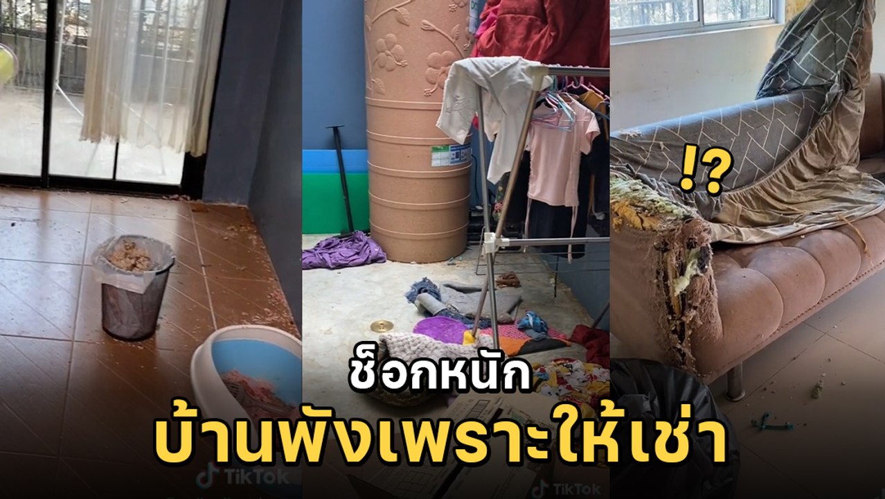 เจ้าของบ้านช็อก ผู้เช่าแอบเลี้ยงแมวกว่า 50 ตัว...