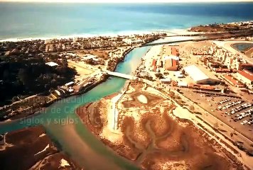 Llaman a frenar la extinción de humedales en California