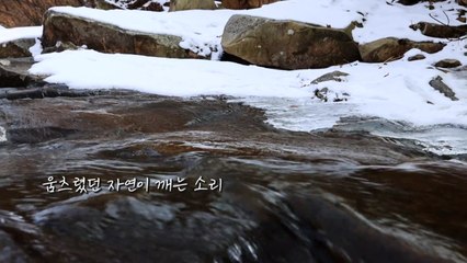 [영상] 겨울이 녹는 시간 / YTN