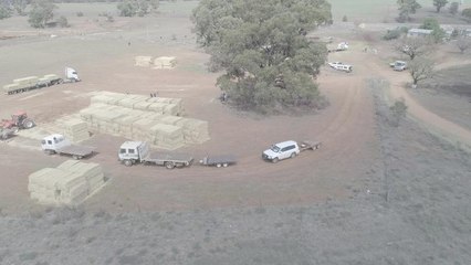 Buy A Bale essential energy