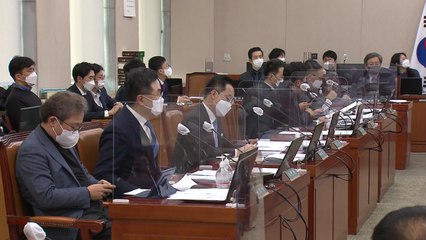 법사위 또 대리전..."검찰 쿠데타 선동" vs "불법 의전" / YTN