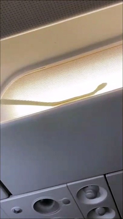 Snake on plane... oui il y a un serpent dans l'avion