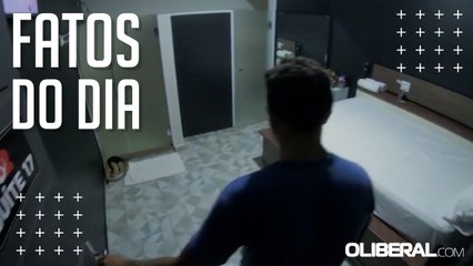 Tamanduá invade suíte de motel em Santarém e assusta funcionários