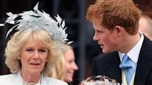 GB News: Un expert avertit que le silence de Harry sur la «reine Camilla» montre des sentiments «nég