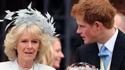 GB News: Un expert avertit que le silence de Harry sur la «reine Camilla» montre des sentiments «nég