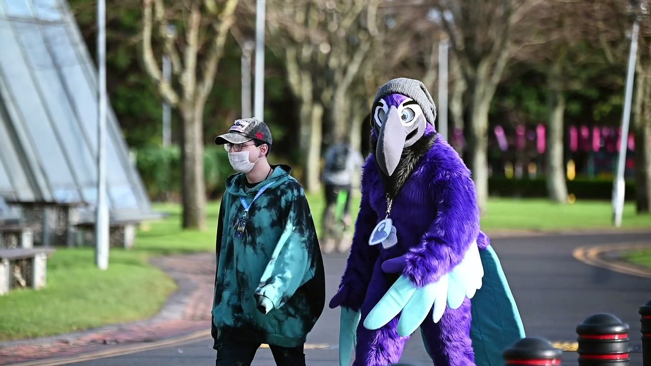 Scotiacon in Glasgow furry fandom convention - video Dailymotion