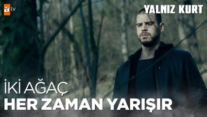 Kurdoğlu ağacının başında - Yalnız Kurt 3. Bölüm
