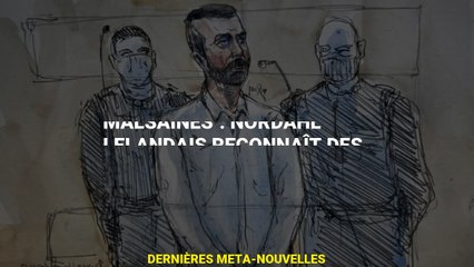 EN DIRECT - 'Je n'ai pas d'intentions malsaines' : Nordahl Lelandais avoue 'coup volontaire' contre