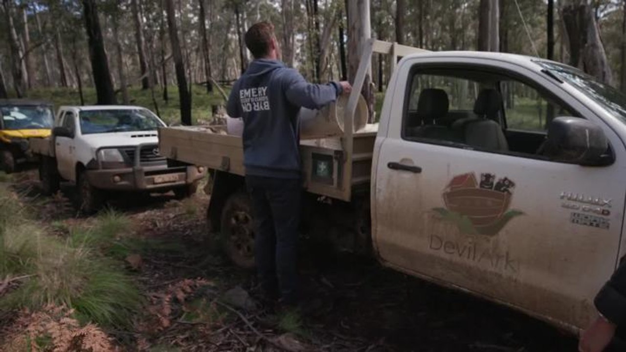 Chris Hemsworth visits Aussie Ark