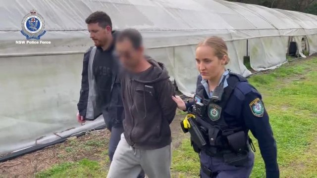 Charges laid after $3 million worth of cannabis seized