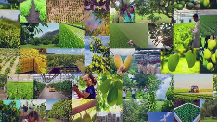 Community Tree Planting Day