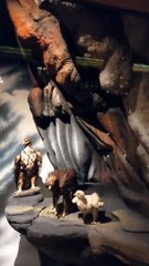 Muséum d'histoire naturelle de Grenoble (52)