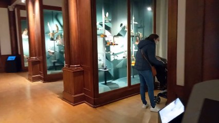 Muséum d'histoire naturelle de Grenoble (57)