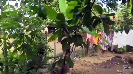 Reparación de plancha, piden vecinos de col. La Principal, El Progreso