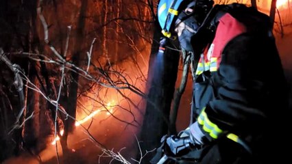 충북 옥천 야산에서 불...임야 0.5ha 피해 / YTN