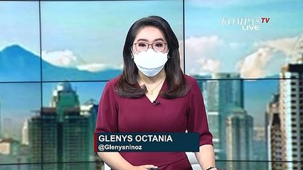 Tim Damkar Evakuasi Ular Sanca Sepanjang 4 Meter yang Bersembunyi di Belakang Kandang Ayam
