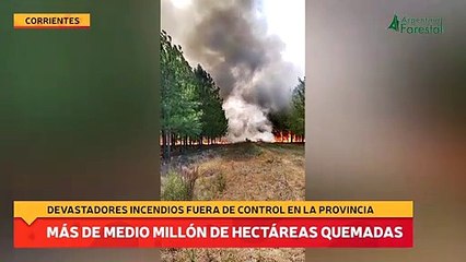 Más de medio millón de hectáreas quemadas