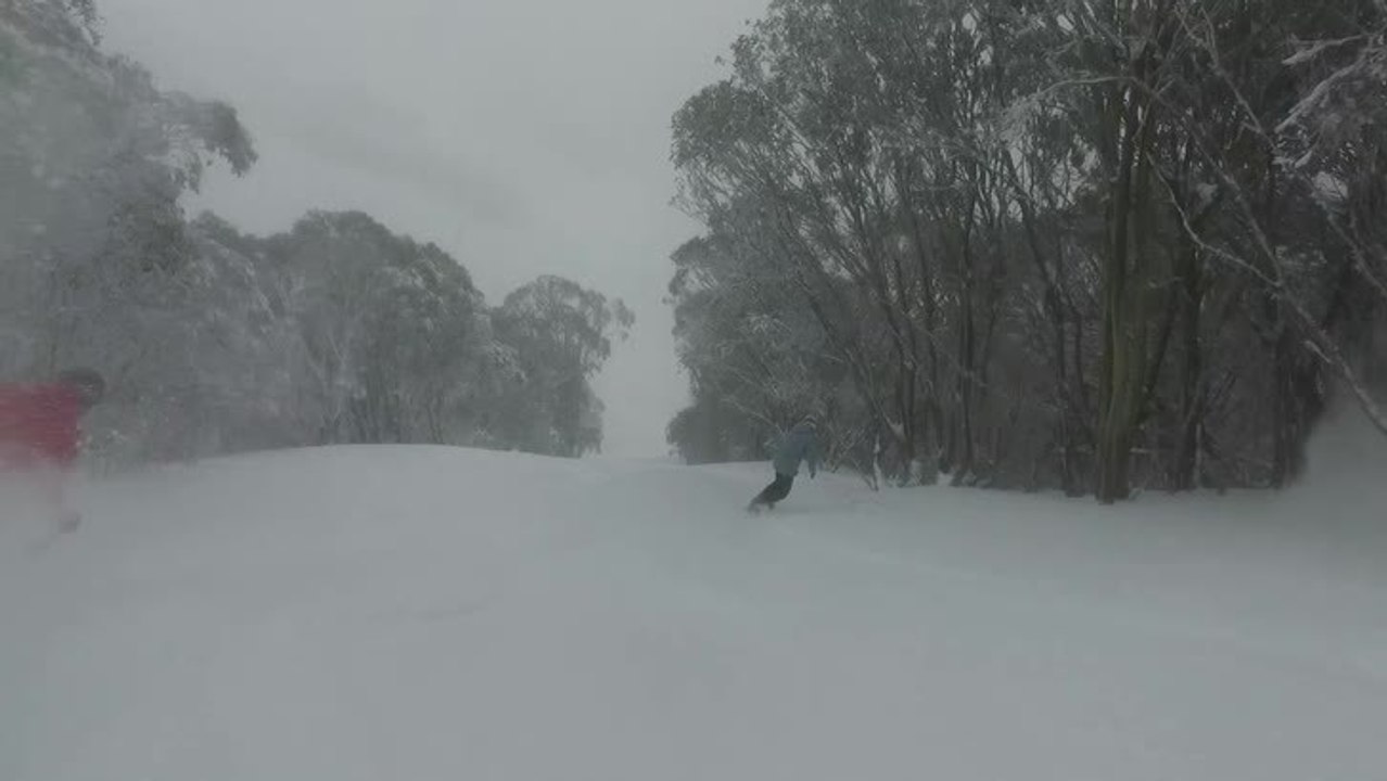 52cm of new snow at Falls Creek  20cm overnight VIC 101cm snow base. .mov