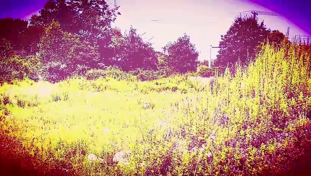 look what the cat dragged in Rob Roberts in KPW___