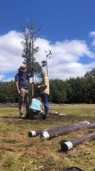 Researchers uncover evidence of palawa land management in the North-West