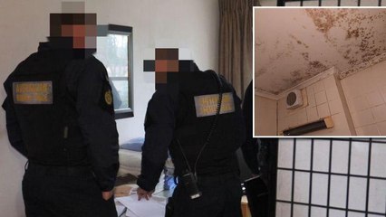 Three allegedly illegal brothels found in suburban Canberra