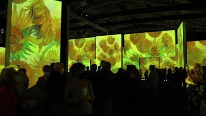 Van Gogh Alive is coming to Canberra