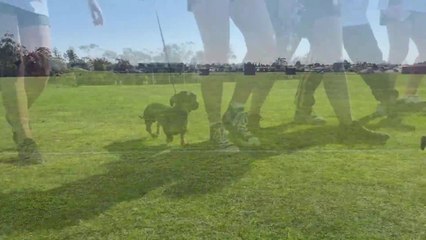 St Patrick's College Lap It Up fundraiser - September 2021 - The Examiner