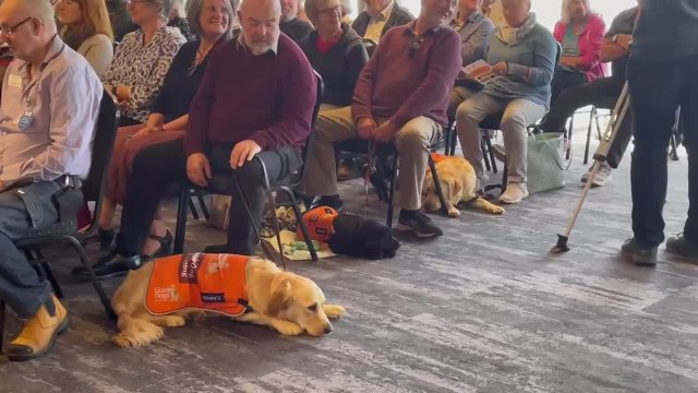 A very special graduation for eight Tasmanian Guide Dogs - October 2021 - The Examiner