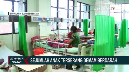Sejak Januari 2022, 23 Warga di Kabupaten Bulukumba Terjangkit DBD