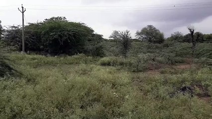 यहां मेडिकल कॉलेज की घोषणा कर भूली सरकार!