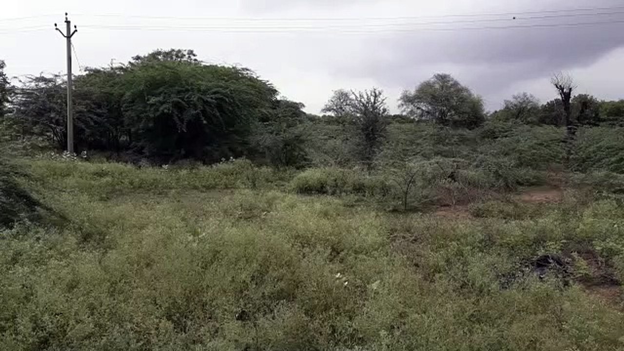 यहां मेडिकल कॉलेज की घोषणा कर भूली सरकार!