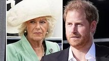 Royal Family LIVE: le prince Harry accusé d'avoir snobé Camilla tout en honorant l'héritage de Diana