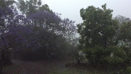Heavy rain falls at Victoria Point
