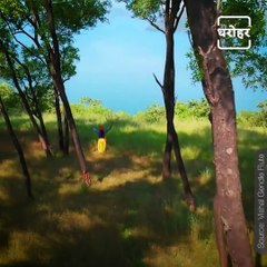 Watch: This Wonderful Sight Of Devotion