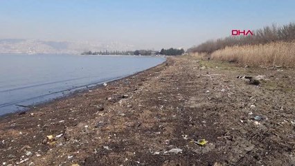 İzmit Körfezi sahili çöplüğe döndü