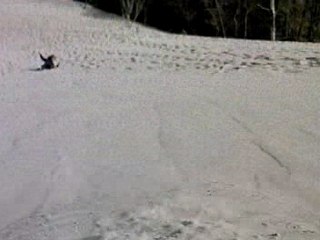 Le Pyla, c'est simpa