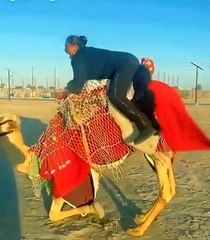 فيديو "طريف" للفنانة هيا الشعيبي وهي تركب الجمل