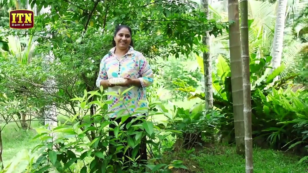Mithu _ Episode 11