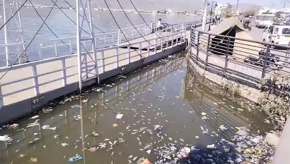 Vedio: आनासागर से उठी जबरदस्त बदबू,