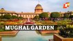 WATCH: Mughal Garden At Rashtrapati Bhavan Thrown Open For Public